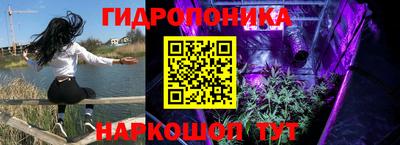 стаф Кандалакша