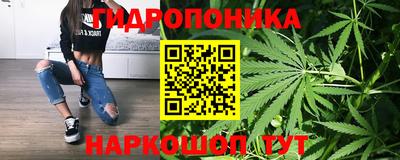 стаф Кандалакша