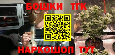 стаф Кандалакша