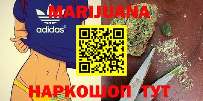 стаф Кандалакша