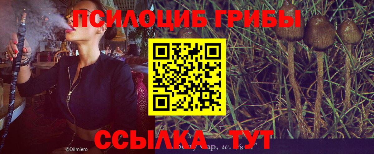 Свободный  Галлюциногенные грибы MAGIC MUSHROOMS  Вход с VPN  Галлюциногенные грибы прущие грибы 