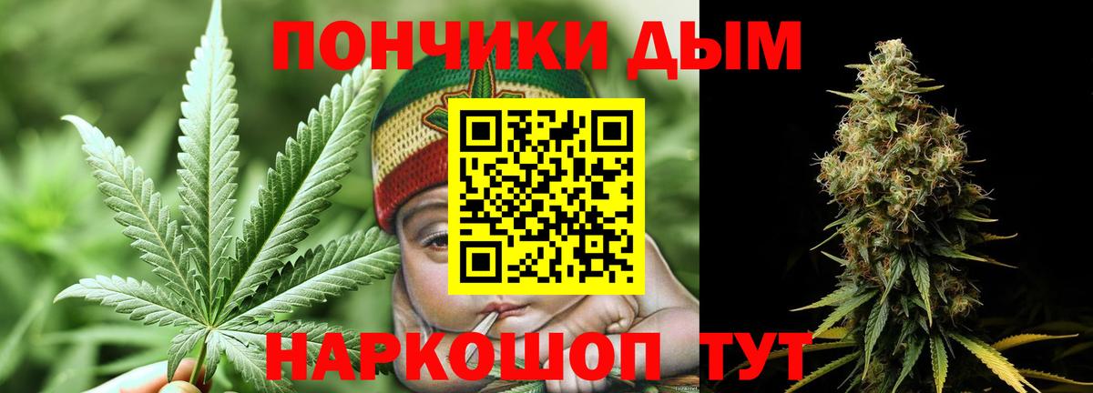 Свободный  Конопля марихуана  Вход с VPN  Шишки марихуана тримм  Бошки Шишки тримм 